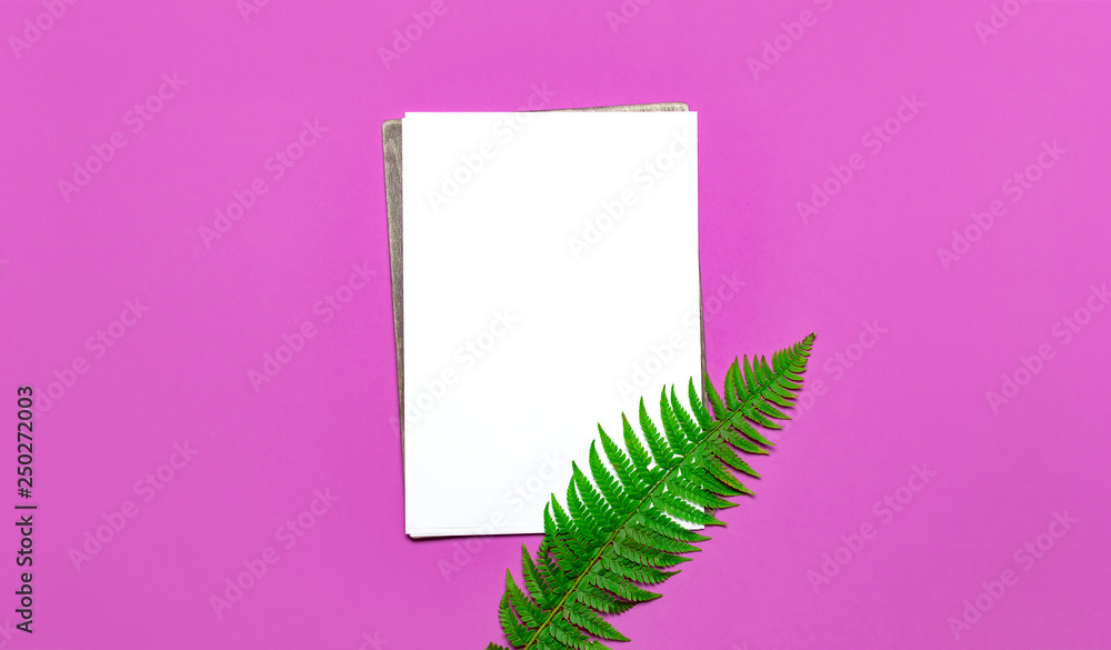 Tropical summer background, green fern leaves and blank white sheet for text on bright pink background top view flat lay. Summer floral composition, green leaf frame. Nature concept mock-up for design Tropical summer background, green fern leaves and blank white sheet for text on bright pink background top view flat lay. Summer floral composition, green leaf frame. Nature concept mock-up for design
