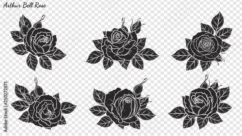 Rose ornament vector by hand drawing.Beautiful flower on transparent background.Arthur Bell rose vector art highly detailed in line art style.Flower tattoo for paint or pattern.