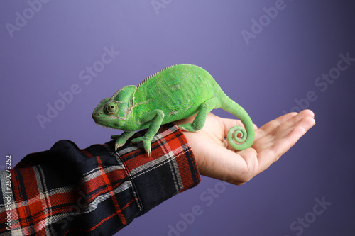 Woman holding cute green ch...