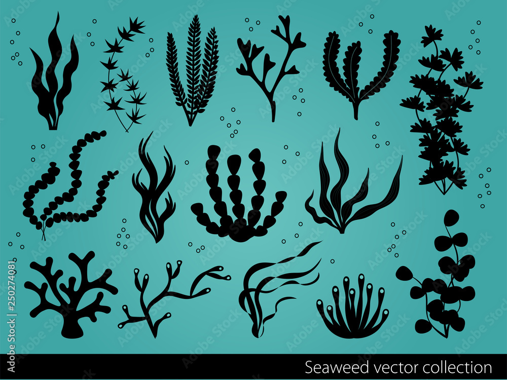 vector seaweed icons set