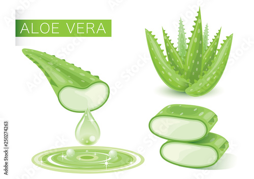 Aloe Vera Green Fresh