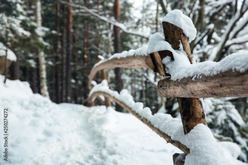 Wooden fence in winter forest