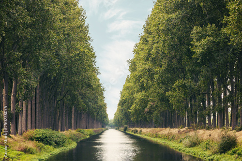 The Damme Canal surrounded by trees in summer in the Belgian province of West Flanders near the city of Brugge photo