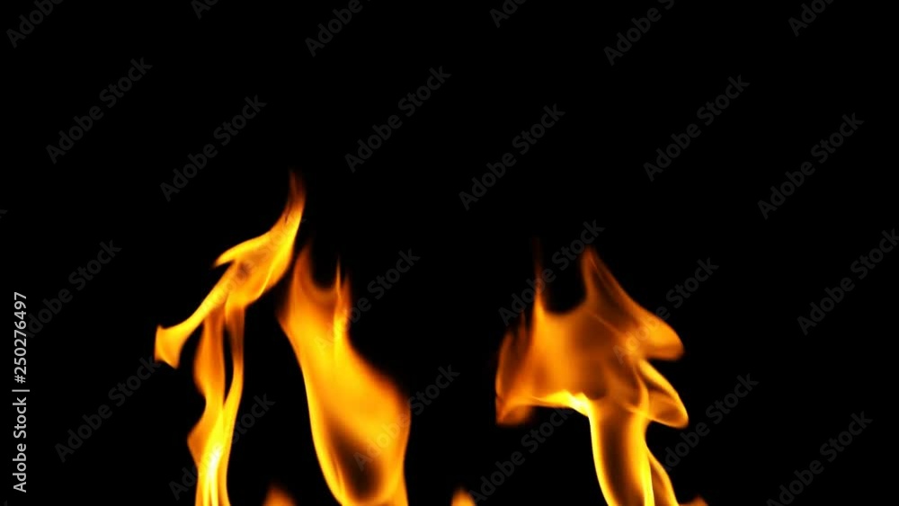 Fire Burning Flame with Alpha Fire Burning Flame with Alpha