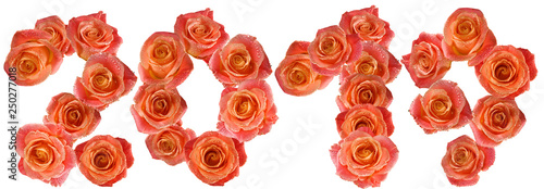 image of the flowers of roses as the 2019 year