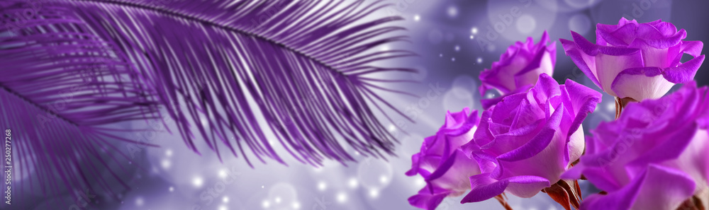 image of flowers on a purple background