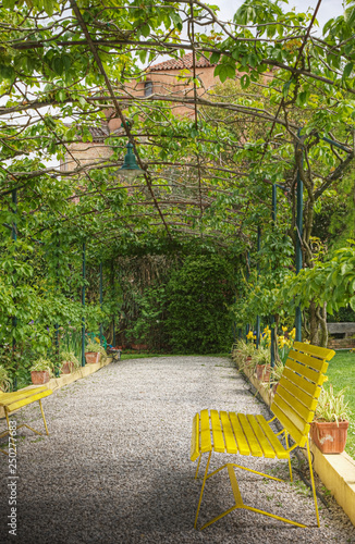 Bench in Large Garden photo