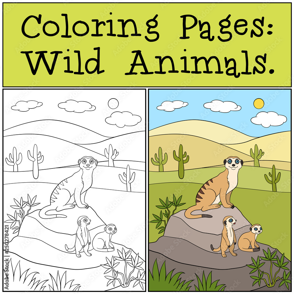Naklejka premium Coloring Pages: Wild Animals. Little cute meerkat smiles.