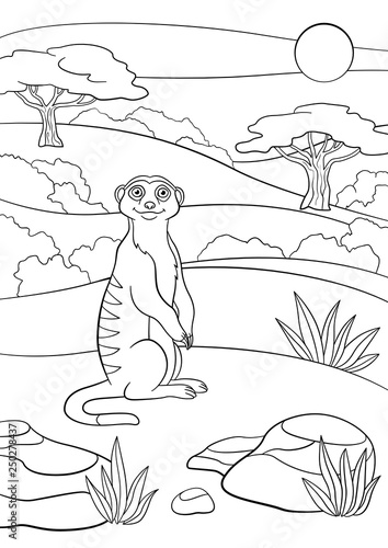 Coloring pages. Little cute meerkat smiles.