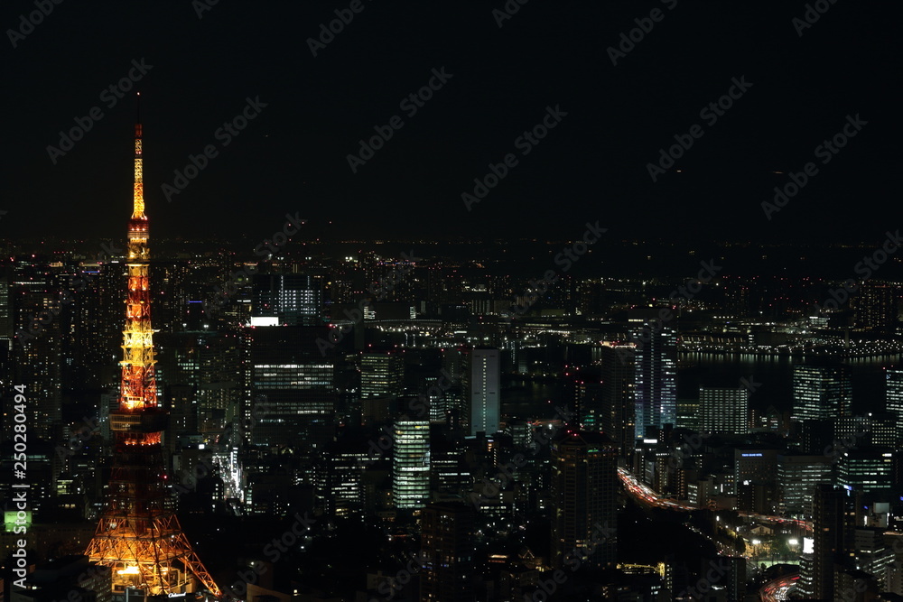 Fototapeta premium Nocny widok na Tokio