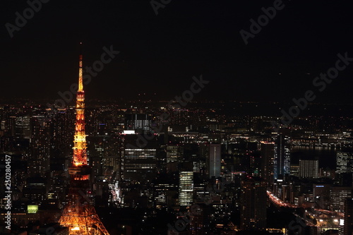 東京の夜景