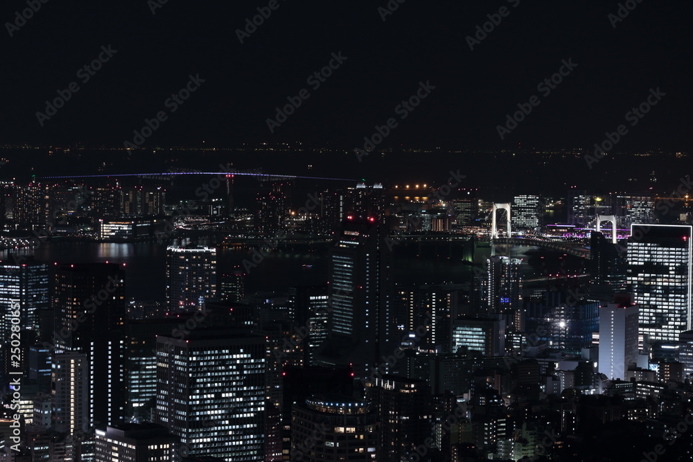 Naklejka premium 東京の夜景