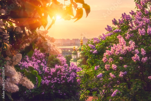 Botanical garden in Kyiv (Kiev) at sunrise. Amazing morning landscape with blossoming lilac trees, view of the domes of Vydubichi monastery, city, Dnieper river and sun in colorful cloudy sky, Ukraine photo