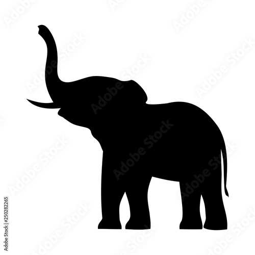 elephant with raised trunk