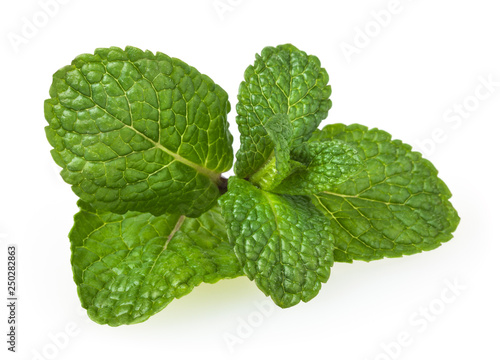 Obraz na płótnie Fresh spearmint leaves isolated on white background w salonie