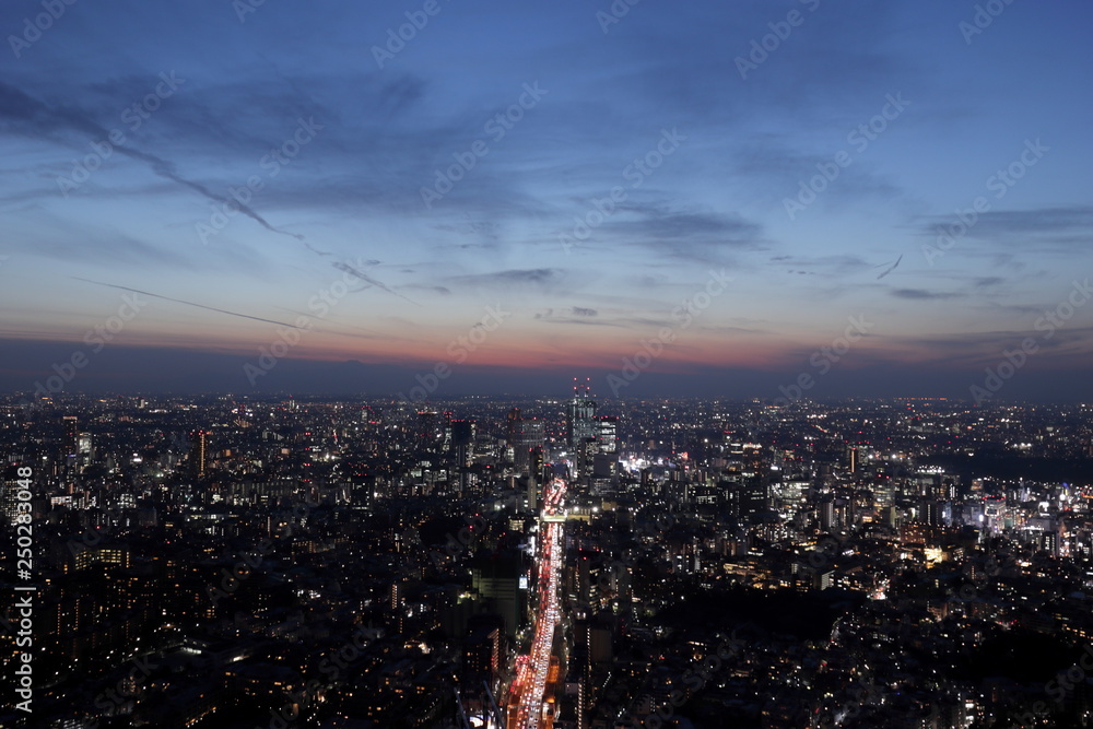 Fototapeta premium 夕暮れの東京