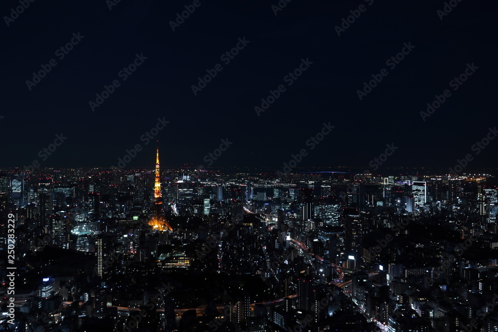 東京の夜景