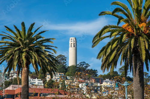 A view of Coit tower in San Francisco