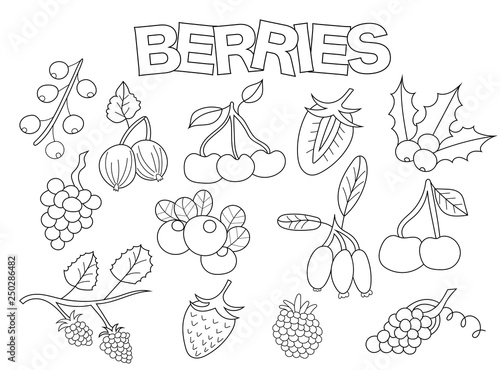 Berries set of icons and objects. Hand drawn doodle organic fruit design concept. Black and white outline coloring page game. Monochrome line art. Vector illustration.