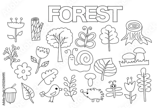 Forest set of icons and objects. Hand drawn doodle nature flora and fauna design concept. Black and white outline coloring page game. Monochrome line art. Vector illustration.