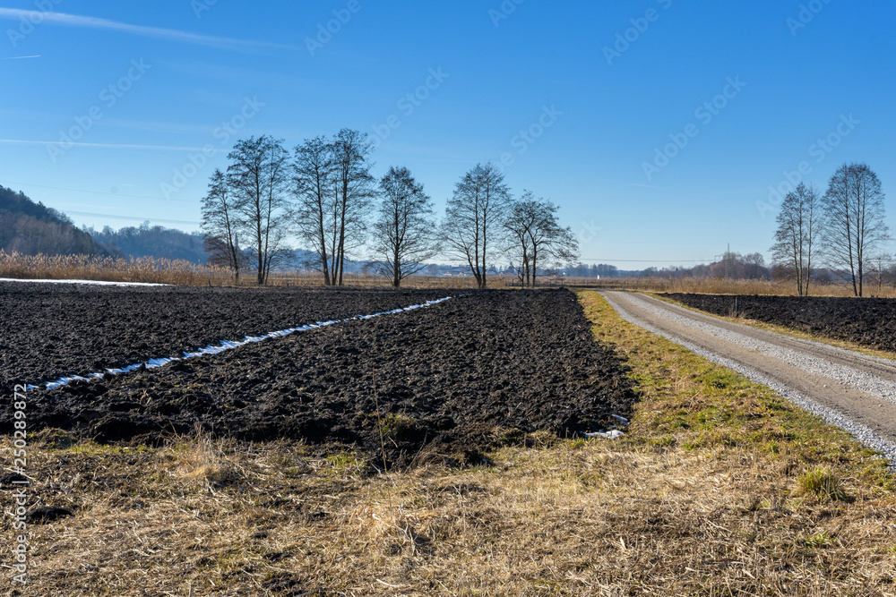 Felder und Weg mit Bäumen vor blauem Himmel im Winter Felder und Weg mit Bäumen vor blauem Himmel im Winter