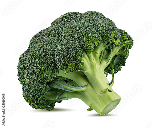 Fresh broccoli isolated on white background with clipping path photo