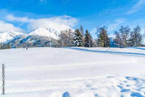 Winter landscape with with snow covered Alps in Seefeld in the Austrian state of Tyrol. Winter in Austria © beataaldridge