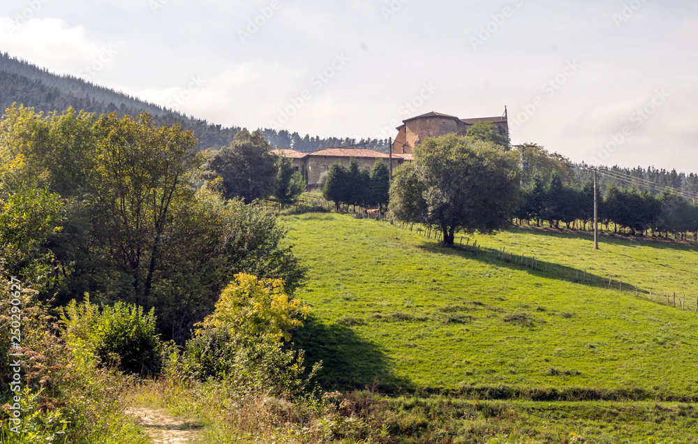 Meadows in rural village in the spanish basque country in a sunny day.