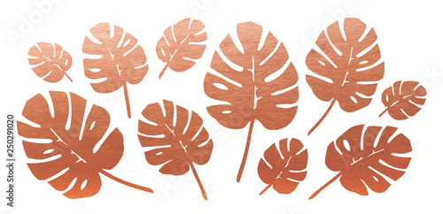 Copper Philodendron Leaves Set. Vector.