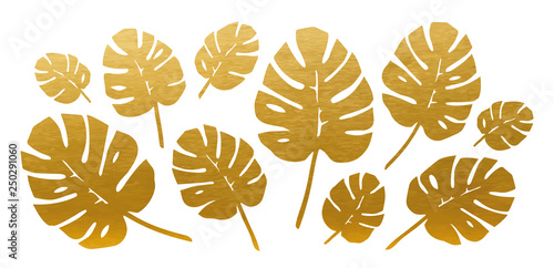 Golden Philodendron Leaves Set. Vector.