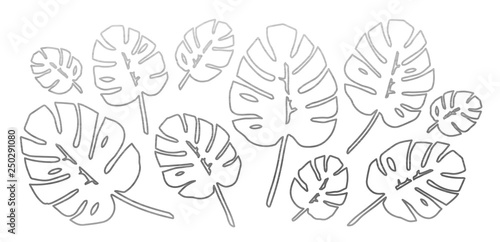 Silver Philodendron Leaves Set. Vector.