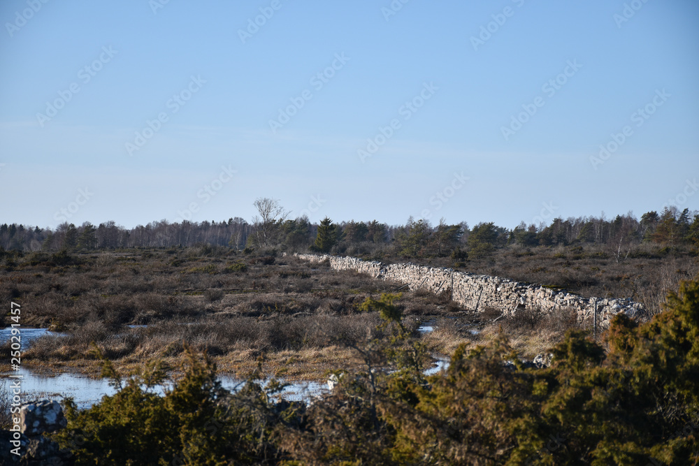 Old dry stone wall in a plain landscape