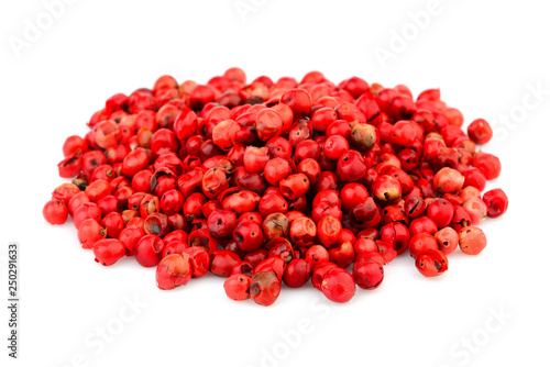 Pink pepper isolated.