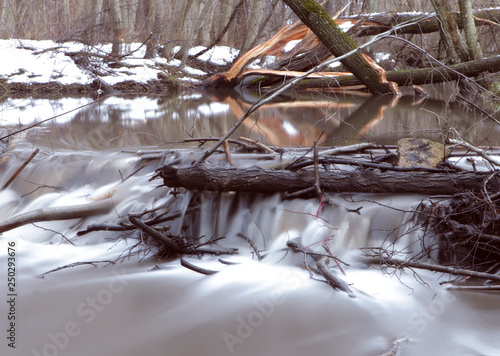 River spring water with fallen threes. Long expousure image. photo