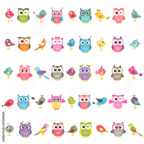 set of birds and owls isolated on white