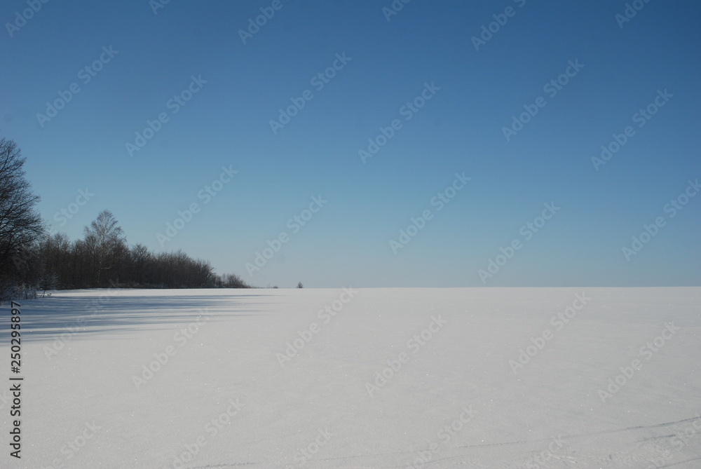 winter landscape