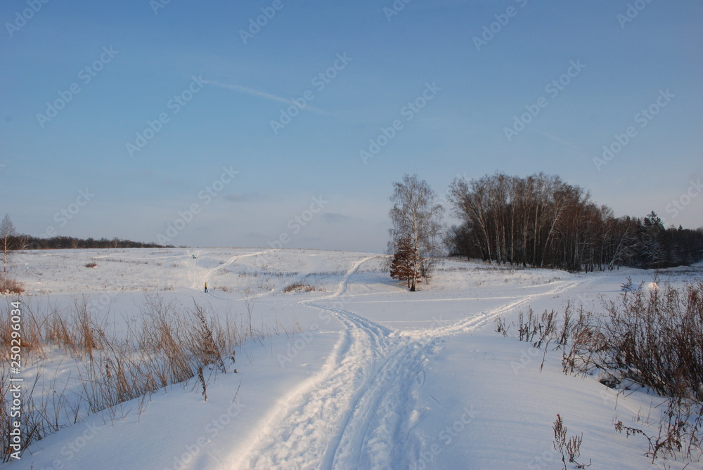 Yasnaya Polyana