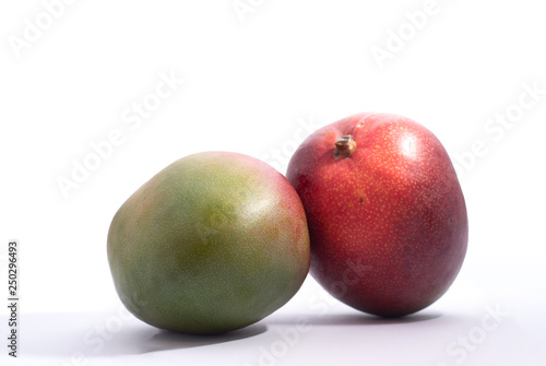 isolated pair of mango 