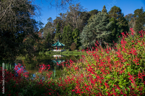 Chinese Pavilion in Golden Gate Park  San Francisco  CA