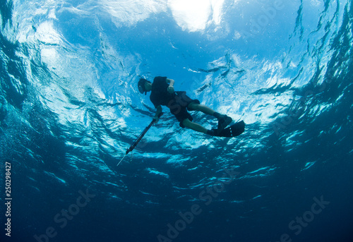 Spear fisherman in Palau hunting for food 