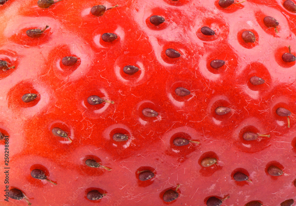 The texture of the surface of strawberries The texture of the surface of strawberries