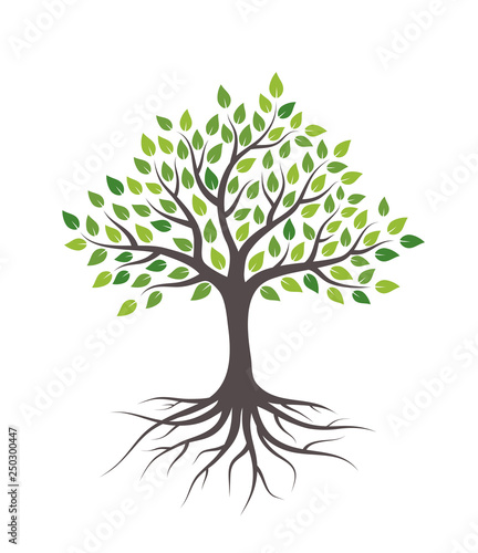 Tree with green leaves and roots. Isolated on white background. Flat style, vector illustration. 