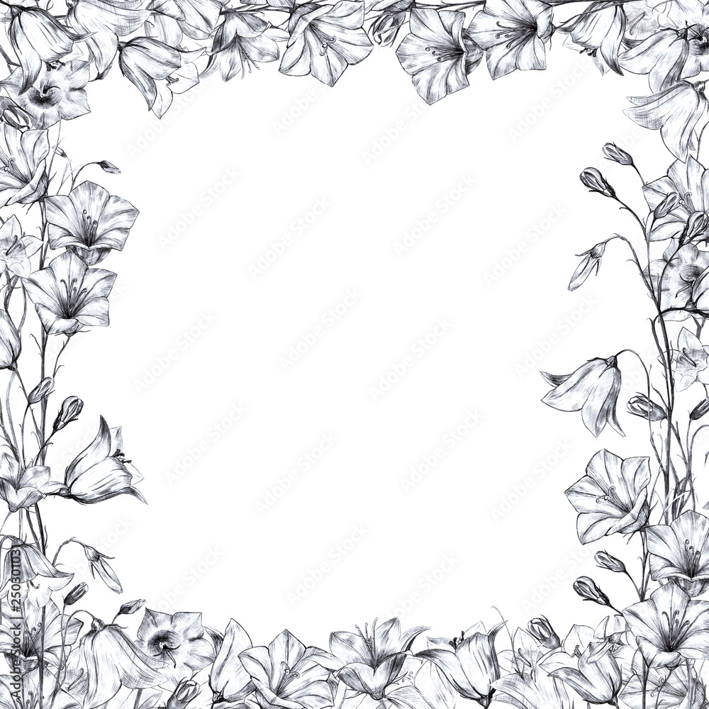 Hand drawn floral square frame with gray, black and white graphic bluebell flowers on white background Hand drawn floral square frame with gray, black and white graphic bluebell flowers on white background