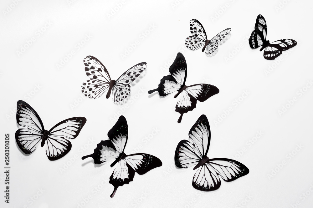 Obraz Butterflies on a white background