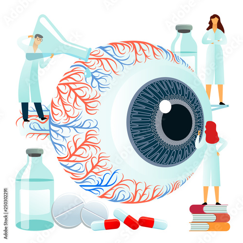 Vector flat illustrations, large human eye on a white background