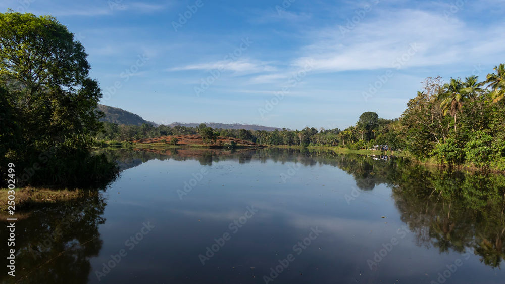 Reflections in the Periyar River.  Thattekad, Kerala, India