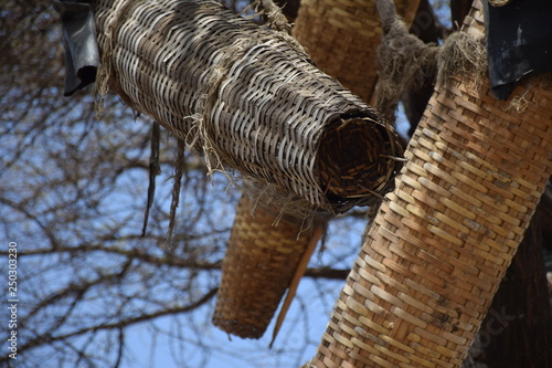 Bienenkörbe hängen in einem Baum in Äthiopien