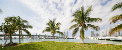 Photo of palm trees from Biscayne Island Miami FL west view towards Downtown Miami