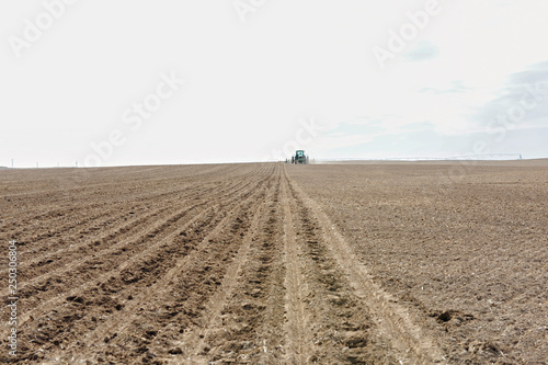 Sugar Beet Planting