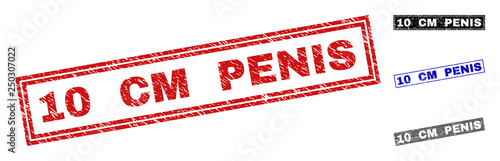 Grunge 10 CM PENIS rectangle stamp seals isolated on a white background. Rectangular seals with grunge texture in red, blue, black and gray colors.